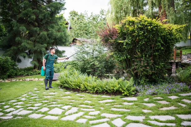 Pest Prevention Services in Elma, WA