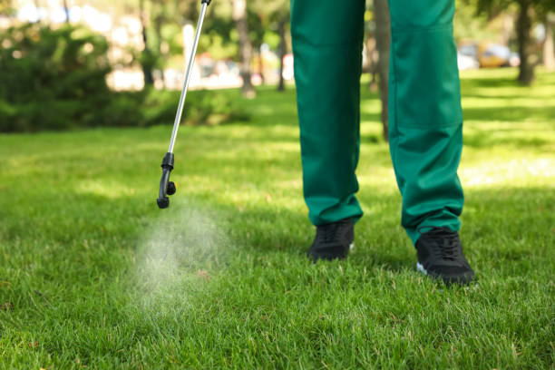 Reliable Elma, WA Pest Control Solutions