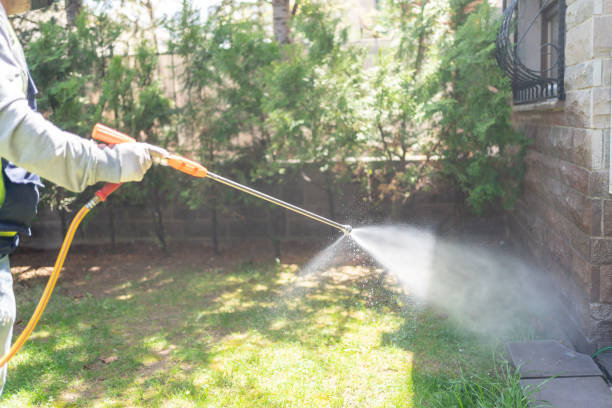 Best Residential Pest Control  in Elma, WA