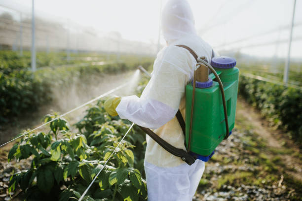 Best Affordable Pest Control Services  in Elma, WA